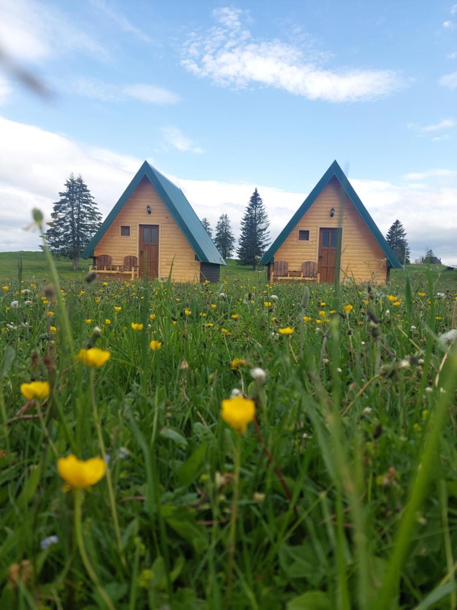 Sumski Raj Žabljak Quarto foto