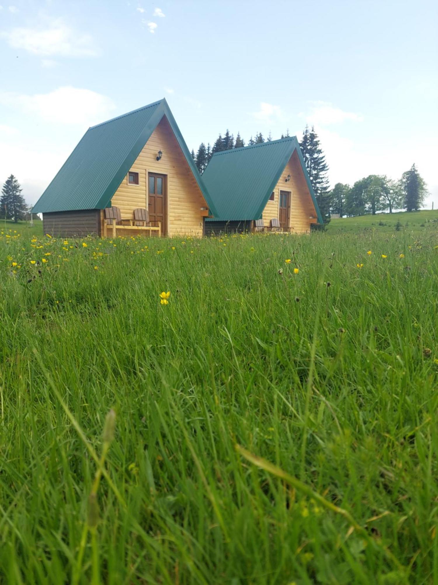 Sumski Raj Žabljak Quarto foto