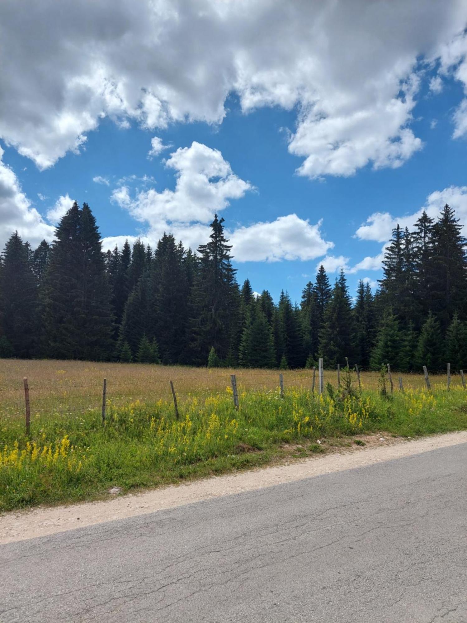 Sumski Raj Žabljak Quarto foto