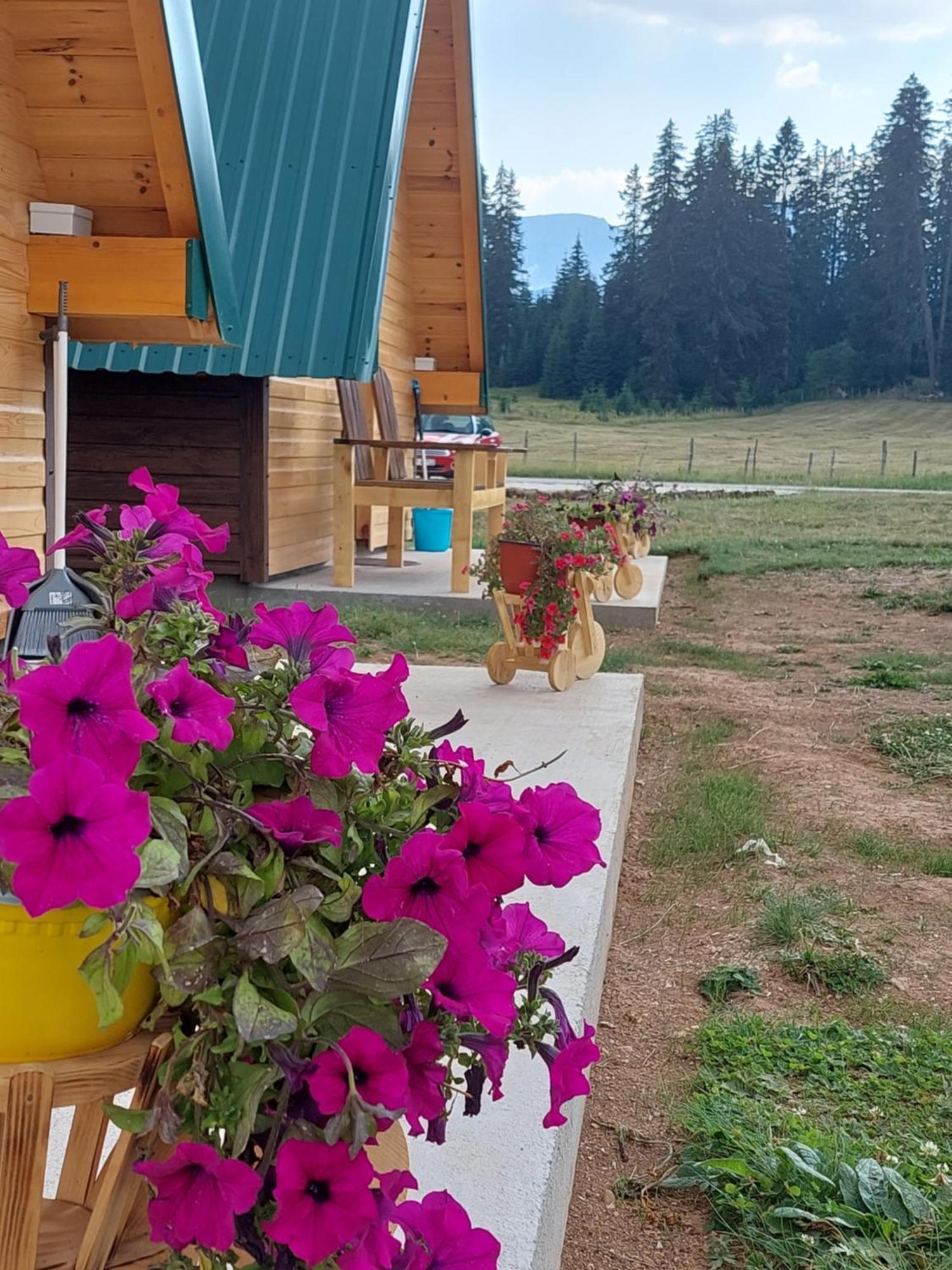 Sumski Raj Žabljak Quarto foto